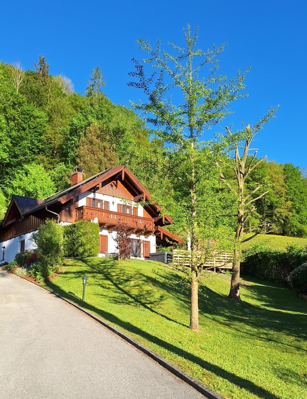 Luxus Alpenparadies Nahe Salzburg Sauna & Whirlpool Adnet ภายนอก รูปภาพ
